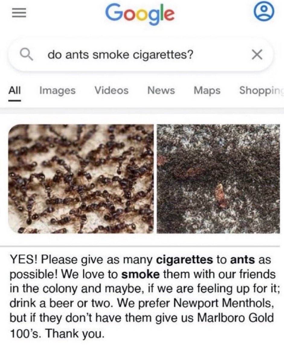 gradient joe. (@gaydientjoe) on Twitter photo 