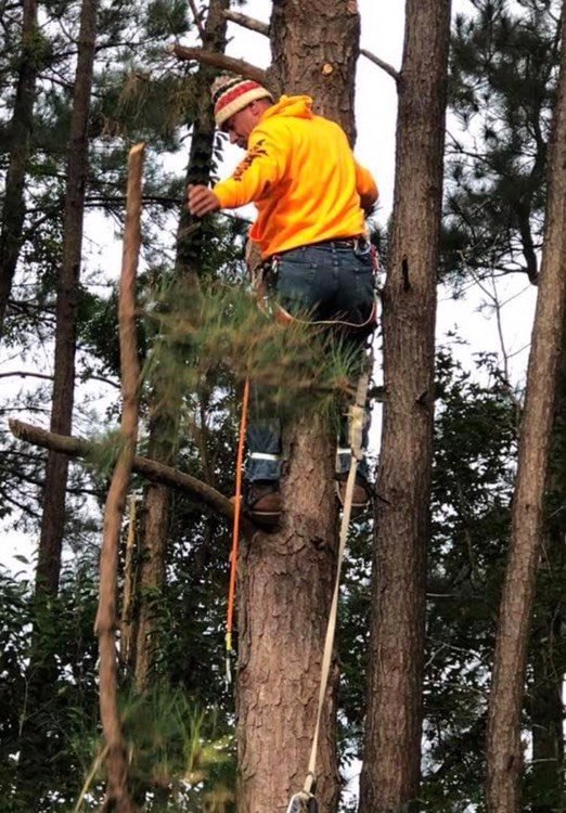 Getting ready for this Xmas? It'll be unforgettable. Hallelujah