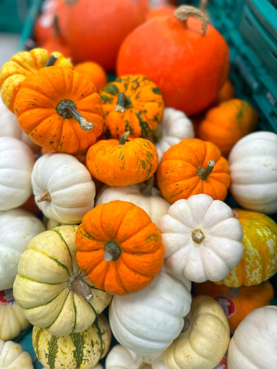 Zelisskk's tweet photo. #Sonbahar #balkabağı #pumpkin #Autumn 🍂🍂🍁🍁 https://t.co/PQd1Ijd8fg