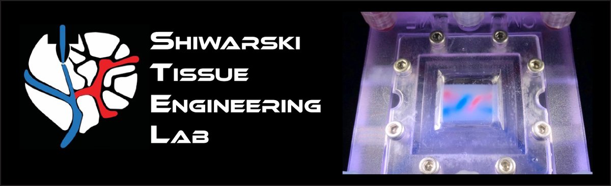 Dan Shiwarski, Ph.D. tweet media