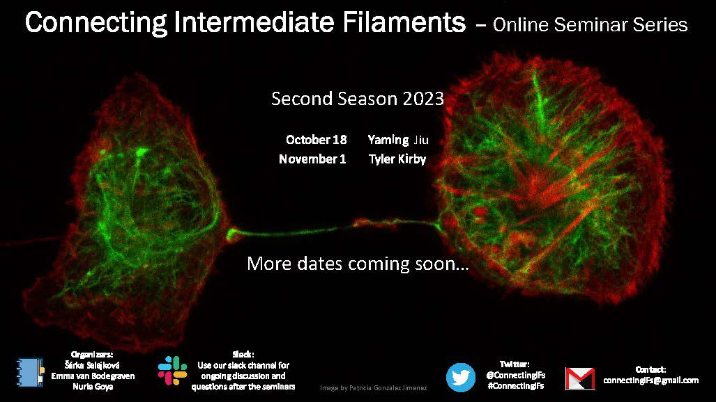 ConnectingIFs's tweet photo. New #ConnectingIF seminar series starting October 18 starting with Yaming Jiu from Shanghai Institute of Immunity and Infection who will talk about ‘Vimentin Intermediate Filaments under infection’. Looking forward to see everyone again! https://t.co/Qej5JtolUI