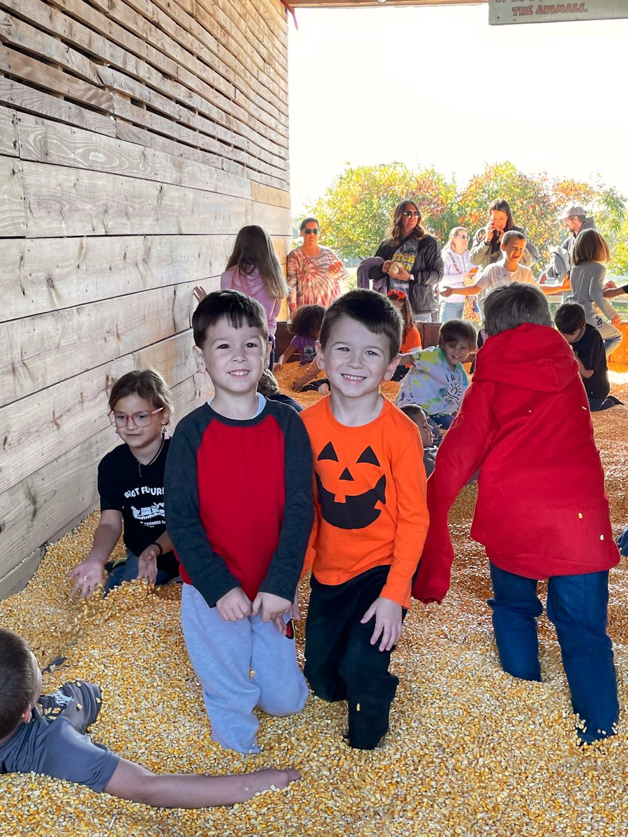 Madison Chesnutt tweet media