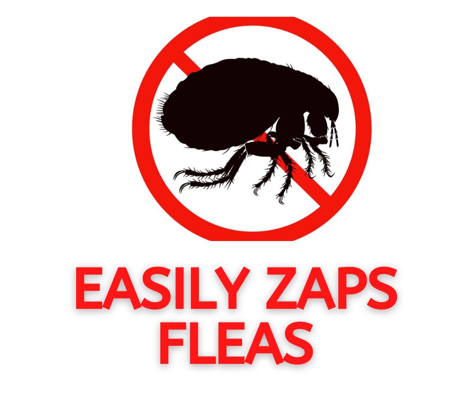 Our handheld bug zapper is not just your average insect-killing device. It is a powerful tool that can annihilate fleas with astonishing efficiency. Here's the thing about fleas: they may be tiny, but they are incredibly resilient and hard to get rid of.  #fleas #fleacontrol
