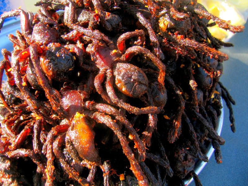 CharlieSimeon's tweet photo. @NoContextHumans Deep fried Tarantula in Asia! Nope, nopeity nope! https://t.co/IhL3wFa718