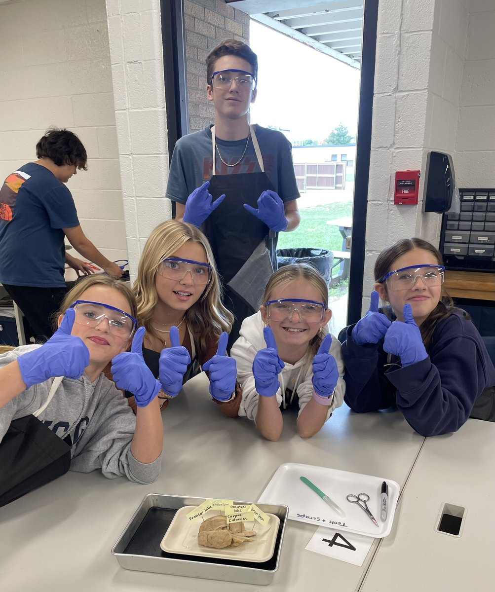 Jessica Dark tweet media