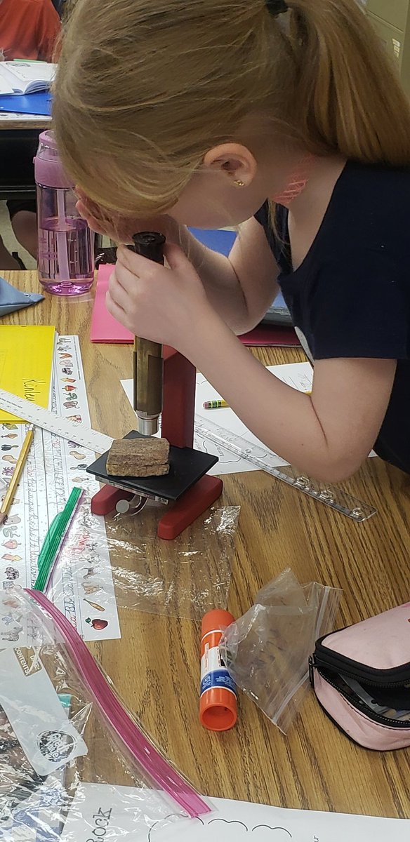 Samantha Wasdin, Ed.S tweet media