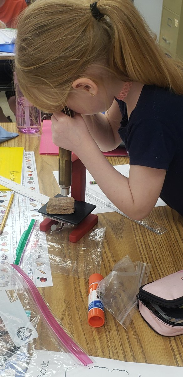 Samantha Wasdin, Ed.S tweet media