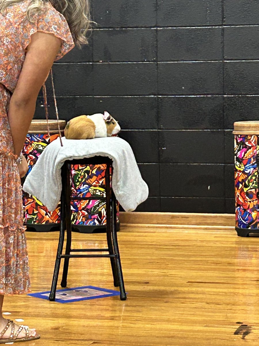 Frontier Elementary tweet media