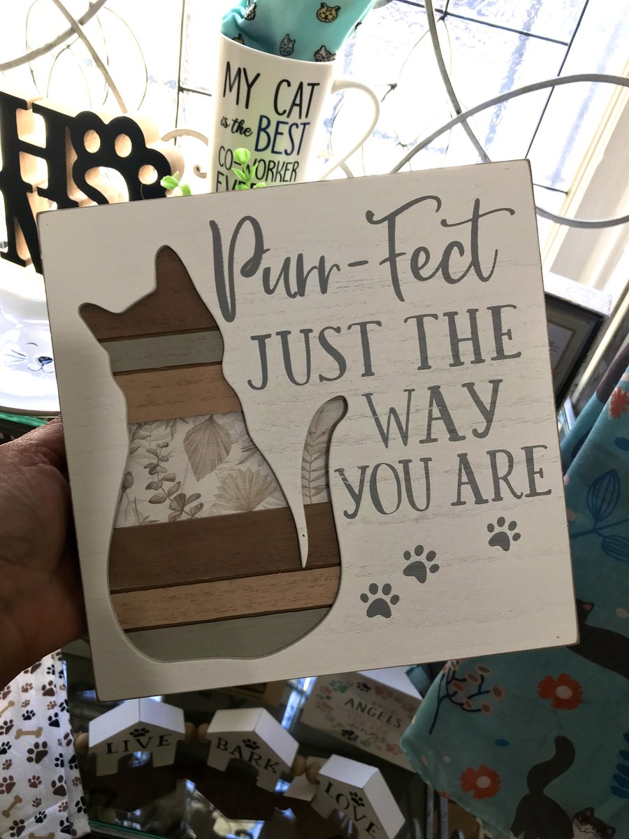 Impress_Gifts's tweet image. Purr-fect just the way your are🐱🩷 How sweet and purr-fectly worded this wood sign is, as a gift or for yourself. 8"x 8"x 1.75", hang/stand it.
Open to 6pm today.
#Purrfect #meow #CatSign #CatLovers #CatLoverGift #PortCredit #Mississauga #ComeOnIn #AlwaysAffordable #SmallBiz