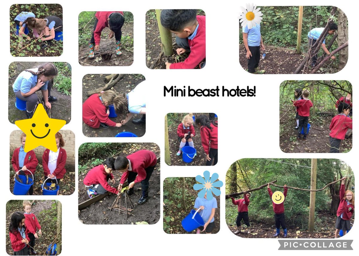 Yesterday Year 3 loved being in our Forest School 🌳 making natural hotels for mini beasts! Everyone worked really well together and it was great to see teamwork, enthusiasm and a love of the outdoors. 🐜🐛🐞🪵🌳🍁🍂🍃