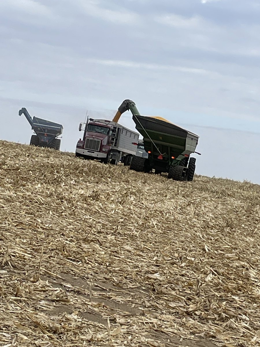 dfoxmulder's tweet photo. Small town Ag communities are the best..Relative Mark passed away unexpectedly before harvest the neighbors rallied to knock it all out this am! 10 combines/carts, 20 + semis! https://t.co/fCzXkzfxUx