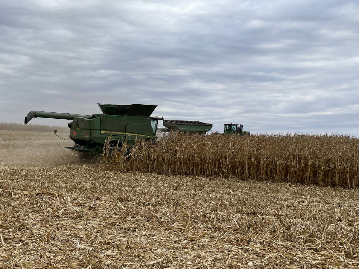 dfoxmulder's tweet photo. Small town Ag communities are the best..Relative Mark passed away unexpectedly before harvest the neighbors rallied to knock it all out this am! 10 combines/carts, 20 + semis! https://t.co/fCzXkzfxUx