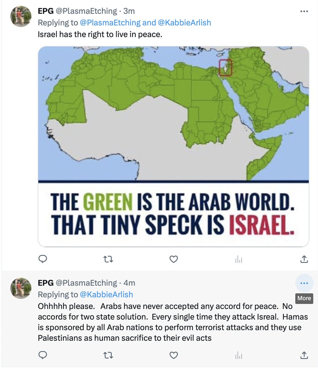 @PlasmaEtching Blocked but can see the replies they sent.

Palestine has a right to live in peace too. That right has been denied for 75 yrs. If you condemn Hamas but not Israeli violence, you believe Palestinian lives are less valuable than Israeli.

That's nothing more than bigotry and hate.