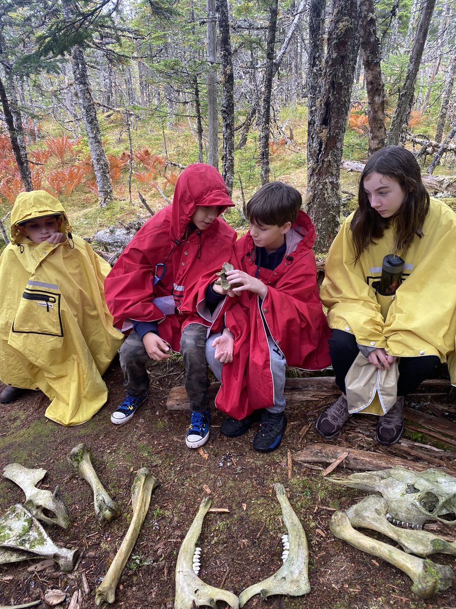 Meagan Perry tweet media