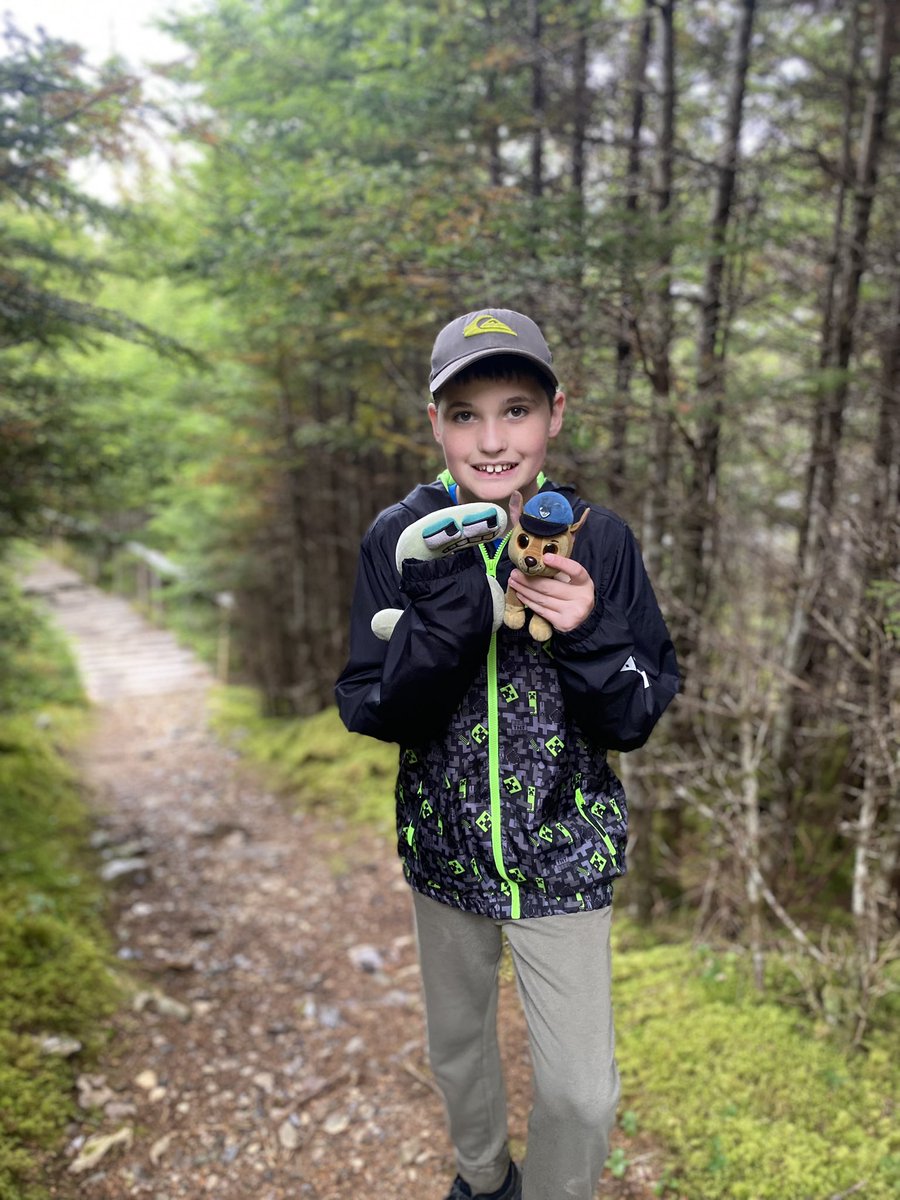 Meagan Perry tweet media