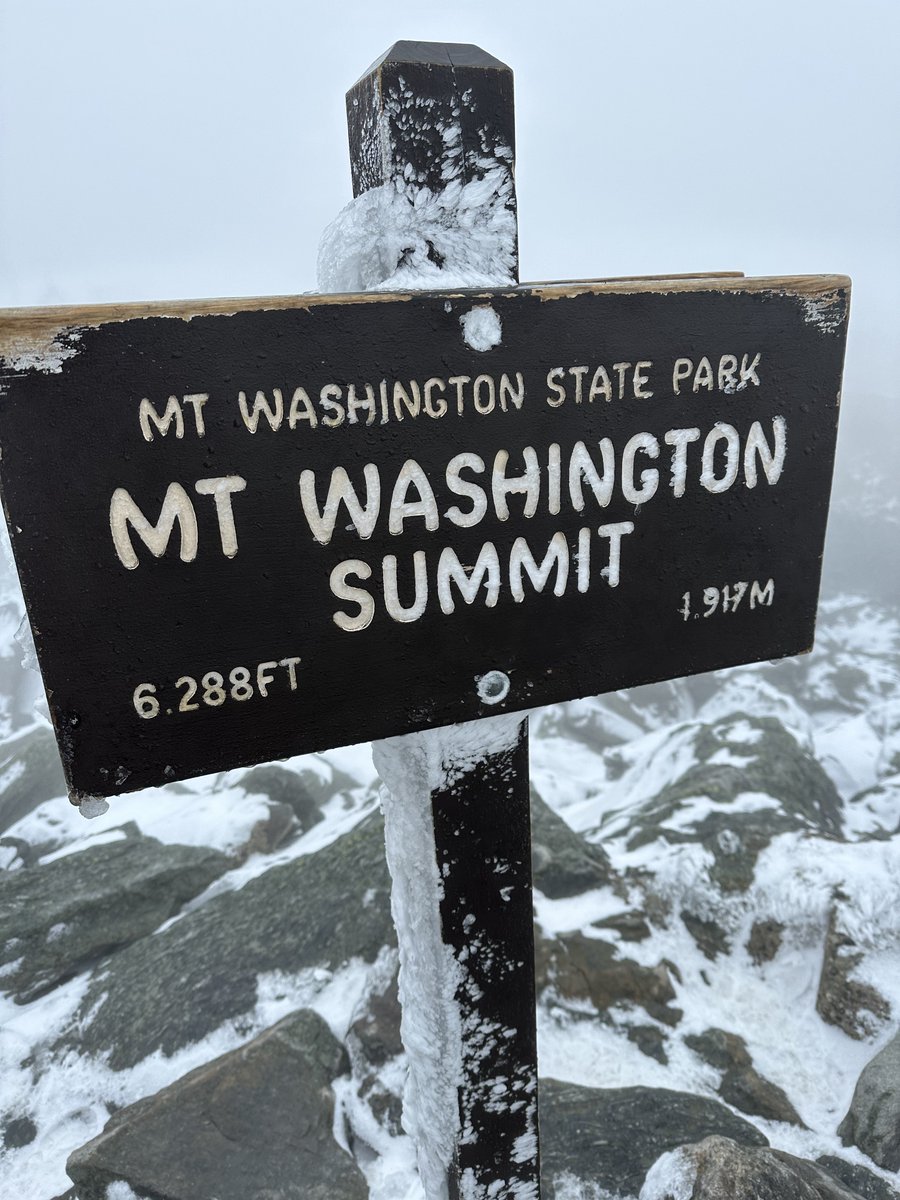 Bilo🌾 tweet media