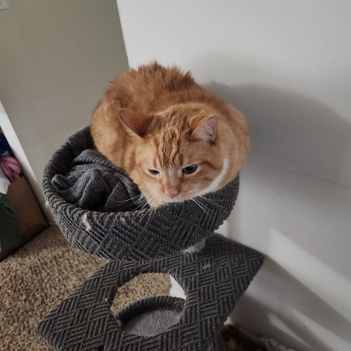 Fadingvelocity tweet media