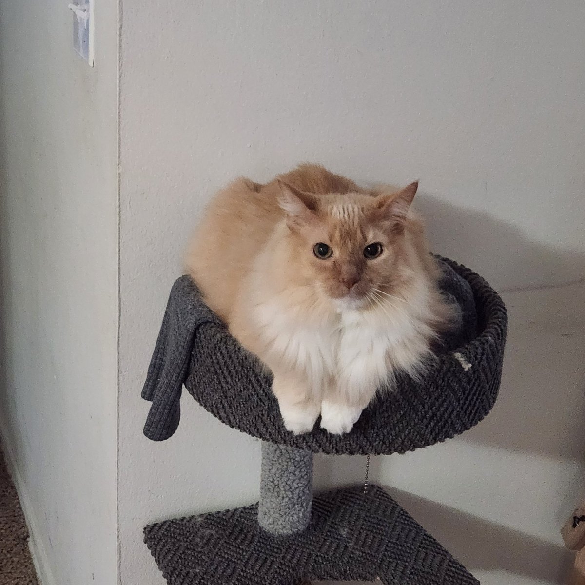 Fadingvelocity tweet media