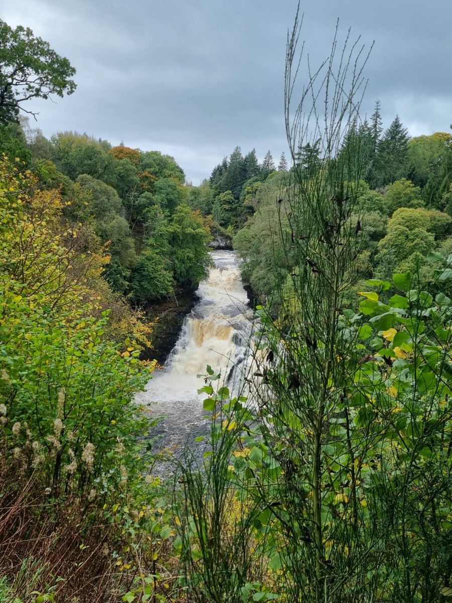 LGS1183's tweet photo. Lovely autumn weather for outdoor education in partnership with #fallsofclyde and #brocktober https://t.co/mbD440kFmX