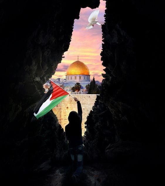 وأنا أشوف وقفة العالم مع الكيان المحتل وتجييش البروباغاندا الغربية لصالحهم اتذكر قوله تعالى {إِن يَنصُرْكُمُ اللَّهُ فَلاَ غَالِبَ لَكُمْ وَإِن يَخْذُلْكُمْ فَمَن ذَا الَّذِي يَنصُرُكُم مِّن بَعْدِهِ وَعَلَى اللَّهِ فَلْيَتَوَكَّلِ الْمُؤْمِنُونَ} فيارب كن لاخواننا عونا ونصيرا
