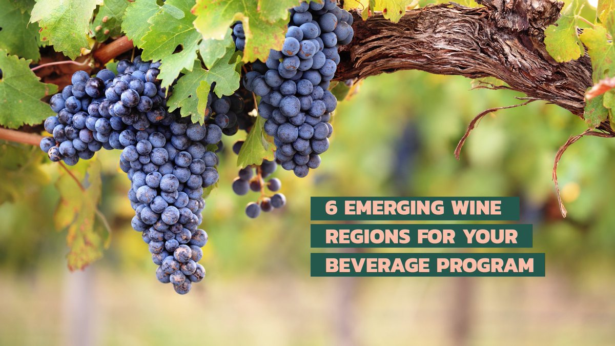 provihq's tweet photo. Although traditional regions have taken millennia to perfect their wine-making, smaller areas are experiencing rapid growth within the industry and culture. Today we’re spotlighting some of the areas with a renewed or emerging focus in the wine trade. https://t.co/FMdUdxvF23 https://t.co/HOjQZTWtA2