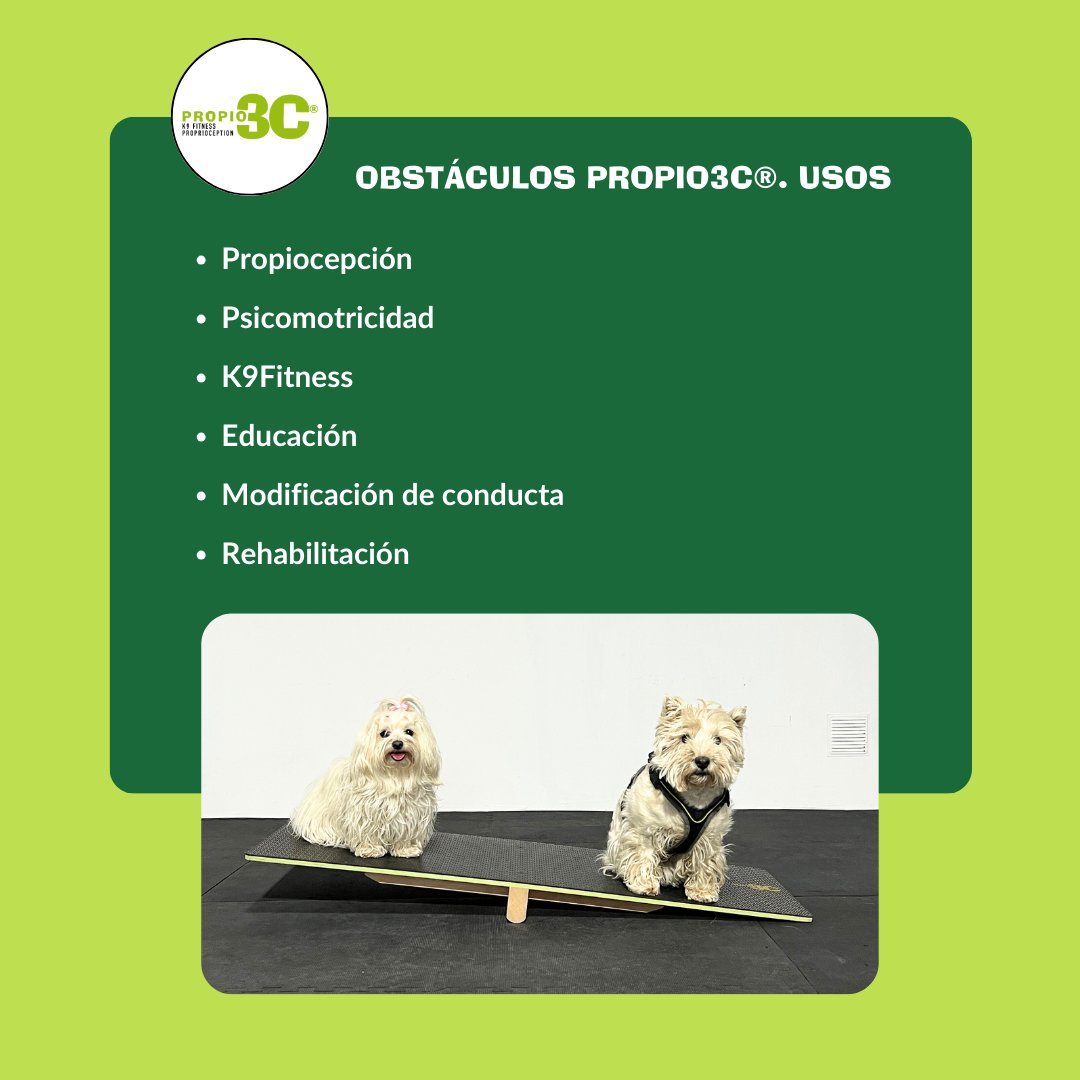 propio3C's tweet photo. ✳️ OBSTÁCULOS PROPIO3C®. SEE SAW PROPIO3C®

🔵SOLICITA NUESTRO CATÁLOGO, EN MENSAJE PRIVADO O A TRAVÉS DEL CORREO : admin@petaneres.com

#propiocepcioncanina #propiocepcionperros #propiocepcion #propio3c #fitnesscanino #k9fitness #gimnasiocanino #gym #gymfordogs #agility https://t.co/dQiu2PAO0J