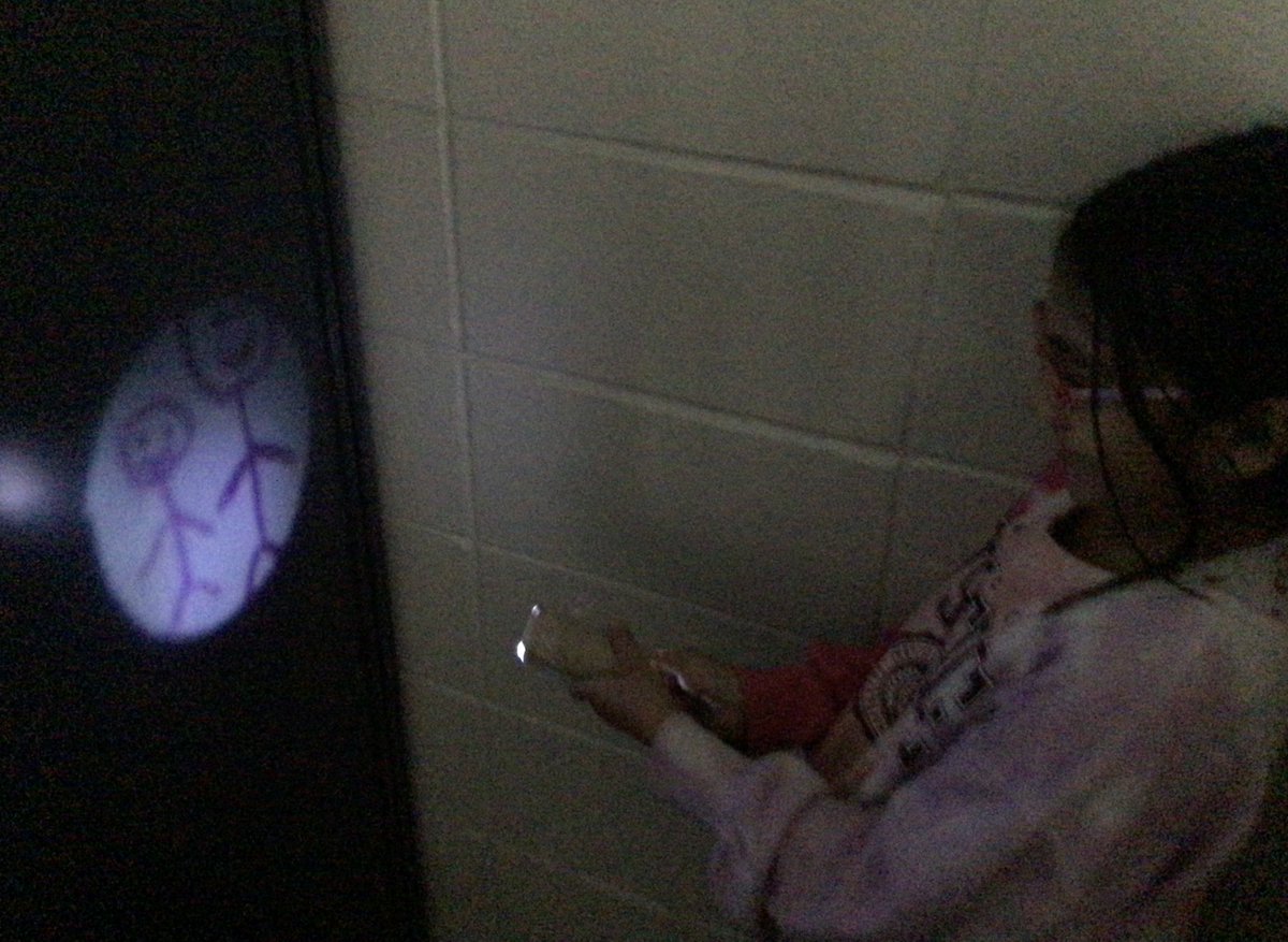 Students enjoyed exploring the behavior of light through different mediums to create a projector.