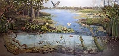 Zhao Ma (@zhaoma_hdl) on Twitter photo We're looking for a Unit Leader for the new IN Cooperative Fish & Wildlife Research Unit <a href="/PurdueFNR/">Purdue Forestry & Natural Resources</a> who will plan, conduct, direct applied research related to the ecology, management, human dimensions of fish, wildlife & their habitats. Learn more & apply lnkd.in/d3yWThGd We're looking for a Unit Leader for the new IN Cooperative Fish & Wildlife Research Unit <a href="/PurdueFNR/">Purdue Forestry & Natural Resources</a> who will plan, conduct, direct applied research related to the ecology, management, human dimensions of fish, wildlife & their habitats. Learn more & apply lnkd.in/d3yWThGd