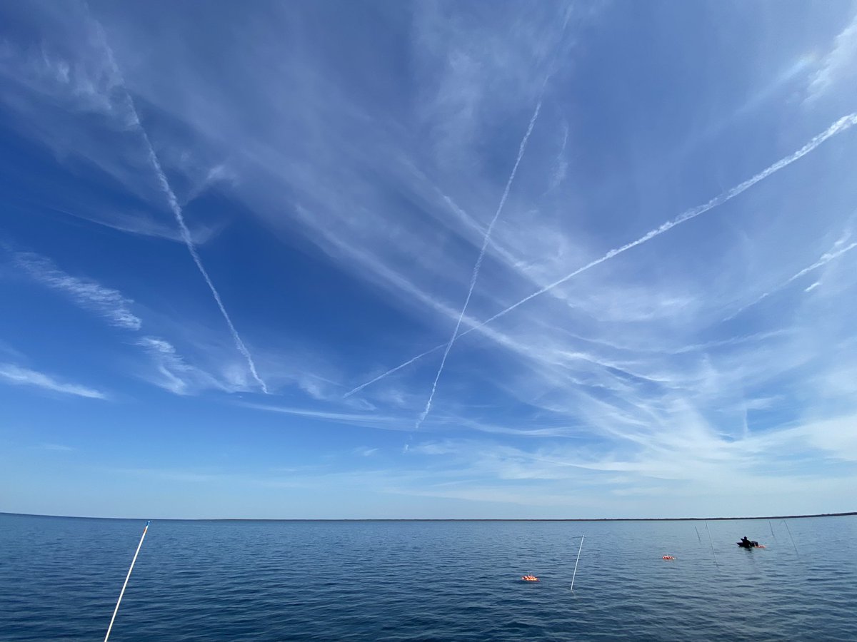 Sophia Hoffman tweet media