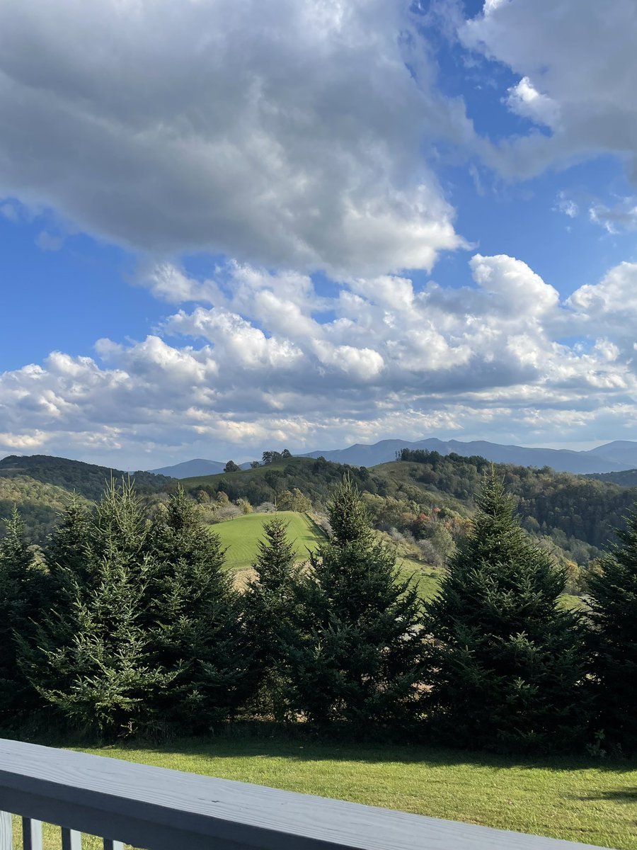 York 1 Jobs tweet media