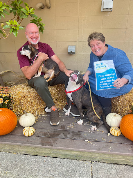 It's the LAST WEEK for Name Your Price adoption fees at CAC! Visit us at 3949 Colerain Ave or 4210 Dane Ave and help us #EmptyTheShelters!