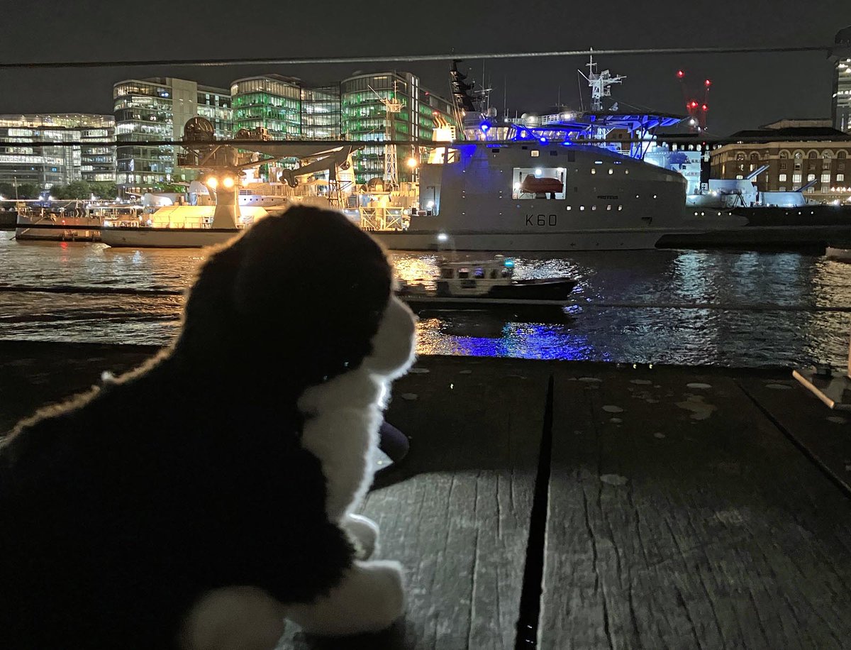 Pussy-cat, pussy-cat, where have you been?
I've been to London, to see... @RFAProteus. 
A touch of the RFA Diligence look to her, with a 21st century twist. Very smart.
(Don't worry, @F235reborn, I'm not leaving you!)