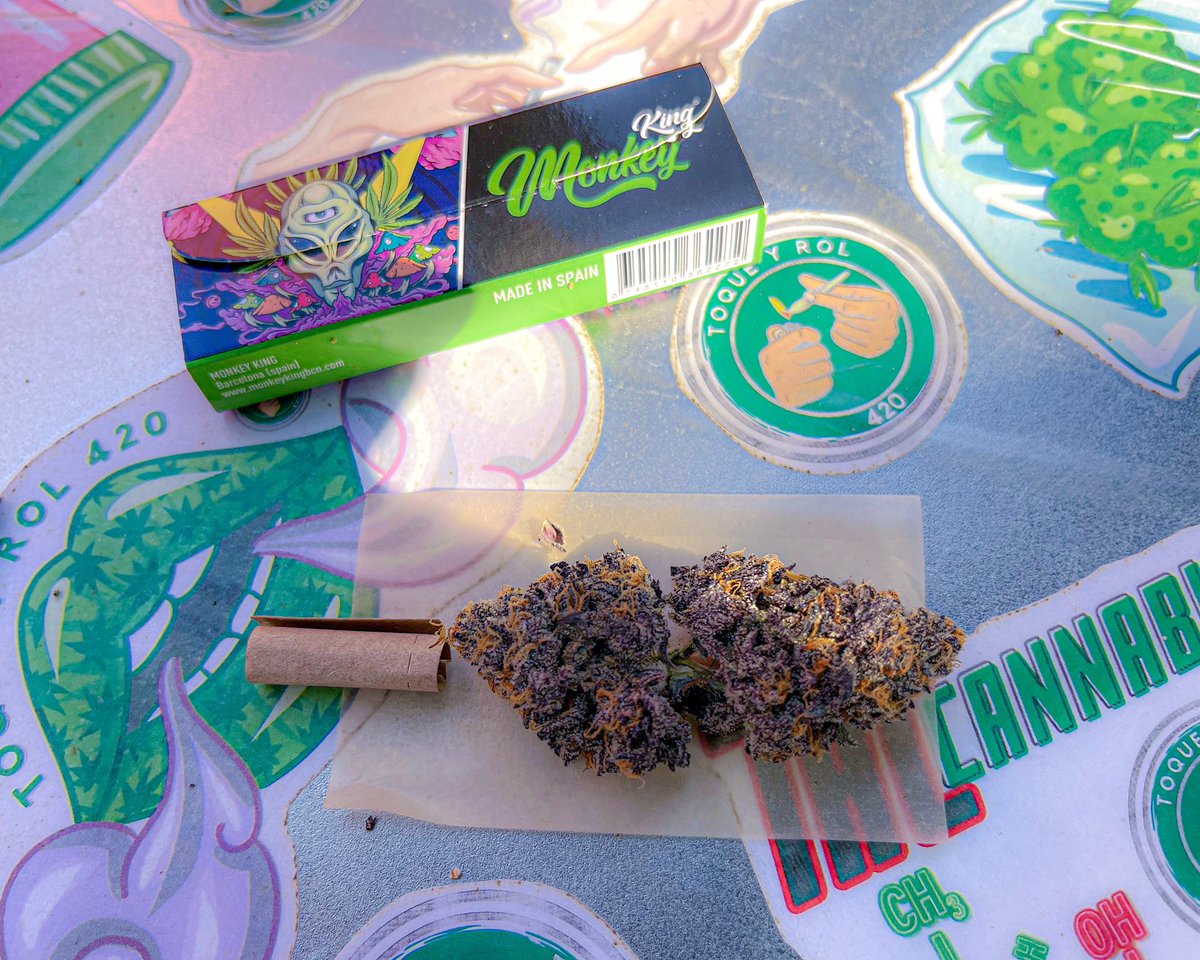 toqueyrol420's tweet photo. Descubre el sabor y el efecto de la pura calidad con los cogollos de invernadero de #RocketTrip.
Te aseguramos que tendrás una experiencia que despegará tus sentidos. ✈️💚🍁
—
#flores #mexico #indoor #indoorplants #cogollo #weed #morelos #fyp #followers https://t.co/BrXIATzyCG