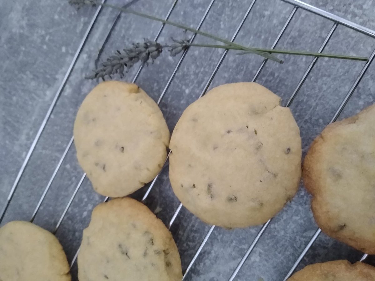 Helen Clarke (@h_clarke26) on Twitter photo Late posting but last week <a href="/TheMERL/">The Museum of English Rural Life</a> <a href="/CranburyCollege/">Cranbury College</a> primary cut some lavender came back and made <a href="/damemaryberry/">Dame Mary Berry</a> lavender biscuits. Such a sensory activity. #LifeInAPru #Pru Late posting but last week <a href="/TheMERL/">The Museum of English Rural Life</a> <a href="/CranburyCollege/">Cranbury College</a> primary cut some lavender came back and made <a href="/damemaryberry/">Dame Mary Berry</a> lavender biscuits. Such a sensory activity. #LifeInAPru #Pru