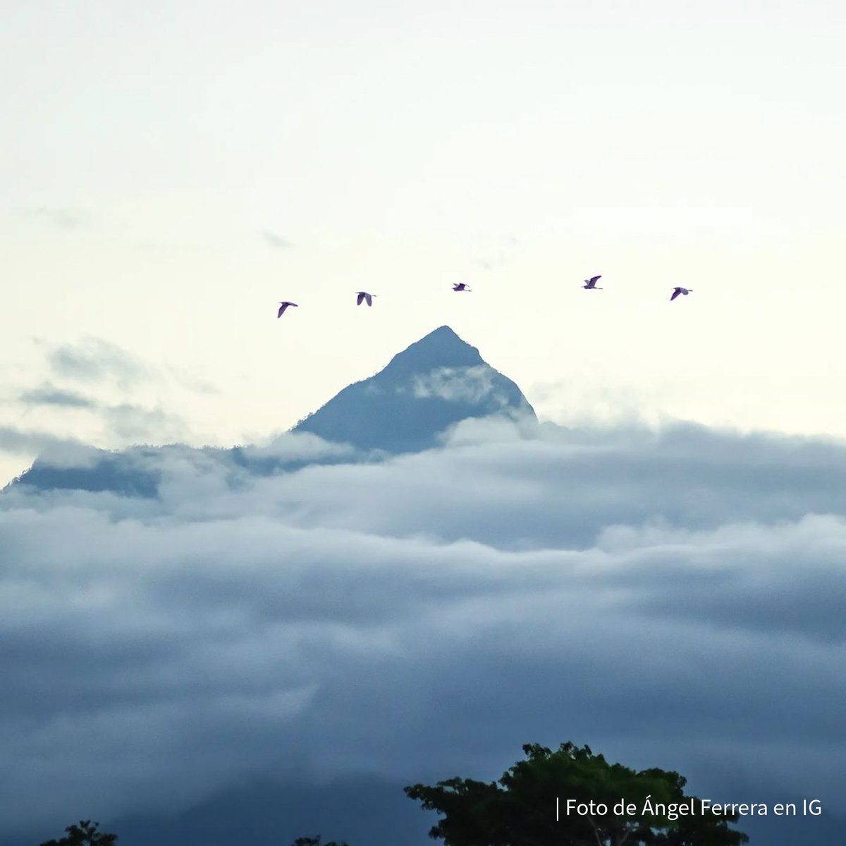 Pico Bonito, La Ceiba: