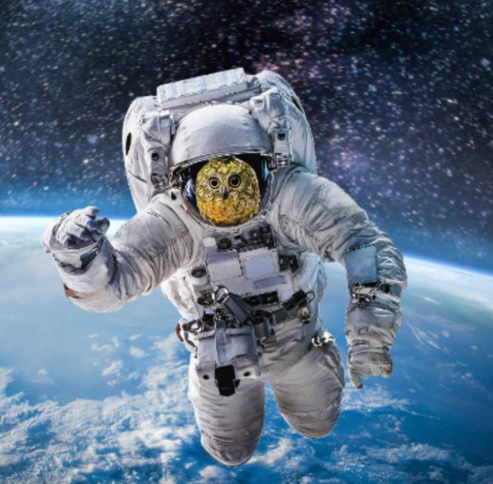 GM : ) 🍍🍍 #HOOT #HOOT