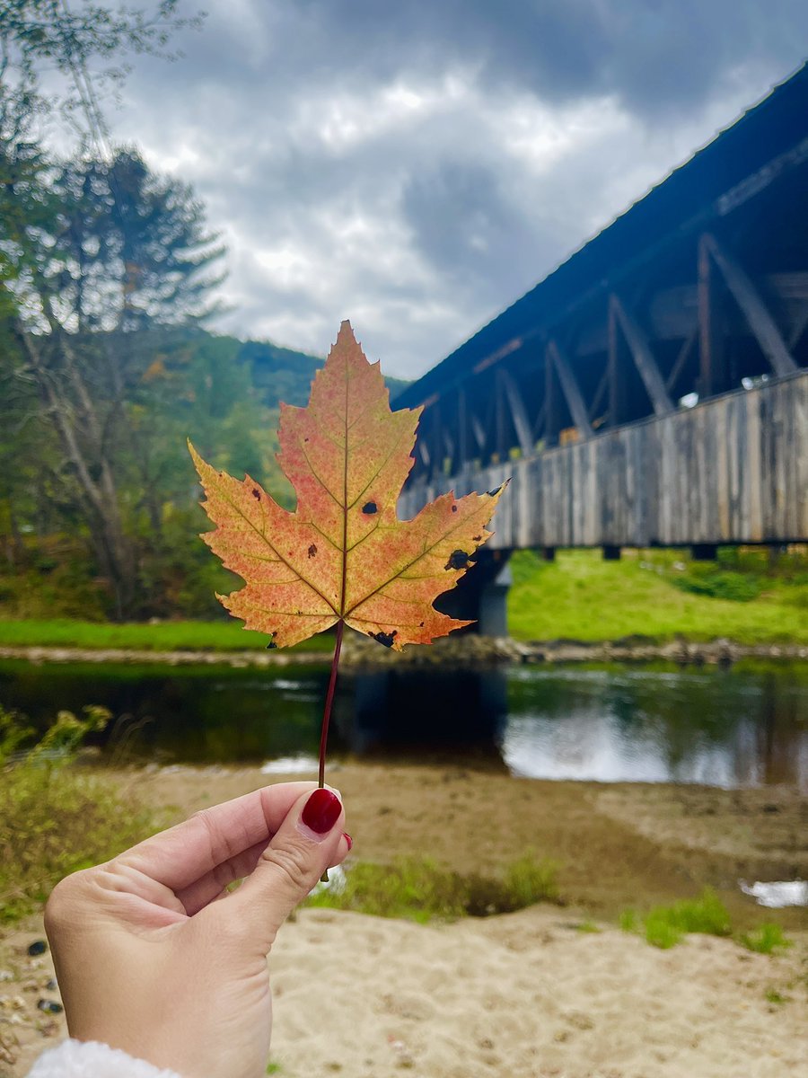 ๐ฅ๐๐๐พ๐
๐๐ ๐ป tweet media