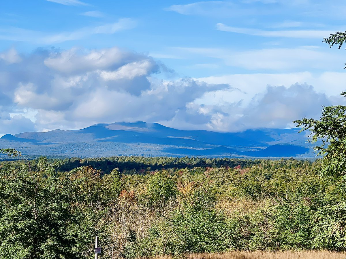 ๐ฅ๐๐๐พ๐
๐๐ ๐ป tweet media