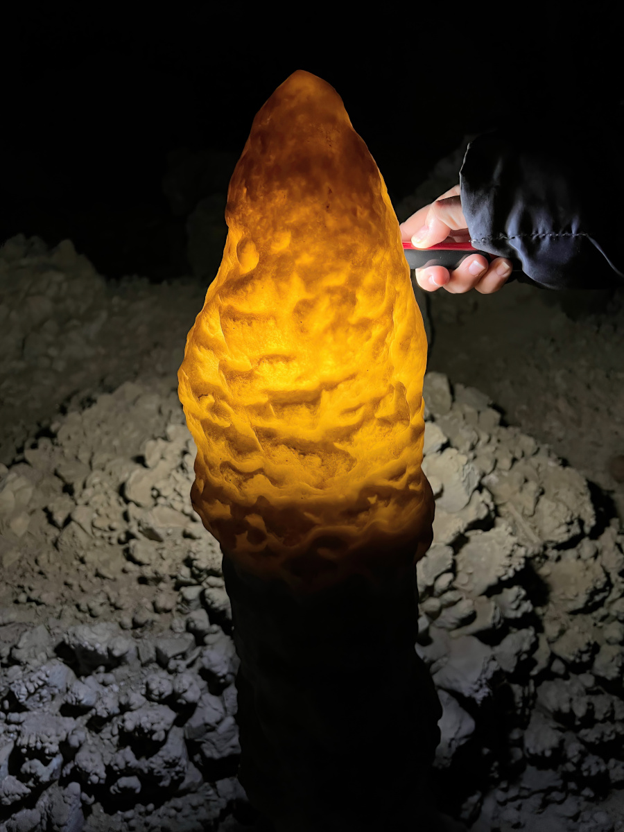 utahguidedotcom's tweet photo. You won't believe this! 📷 Our absolute favorite part of the day was when we put some flashlights next to those awesome calcite walls and ceiling in the cave.
#crystalballcave #caves #utahcaves https://t.co/qJyaiqtXe3