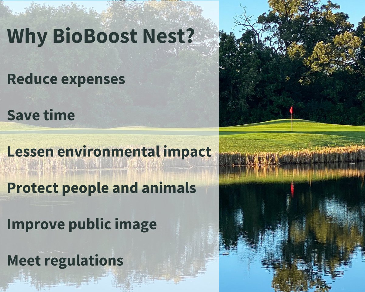 BioBoostNest's tweet image. 6 reasons to use BioBoost Nest in your ponds. How #bioremediation will benefit you in ways that really matter!   

1. Reduce expenses: fewer chemical and manual interventions save you money  

2. Save time: our technology requires minimal ongoing labor  

3. Lessen environmental…