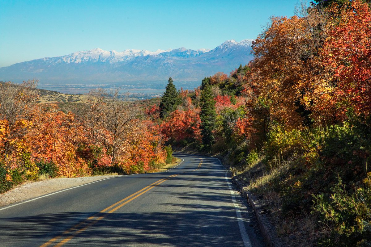 utahguidedotcom's tweet photo. Fantastic Fall Colors - Every Bend In The Road
-
Utah's Fall Colors seem to be at the top of their game this year.  These scenes come from the lower section of Payson Canyon on the beginning of the Nebo Loop.
- https://t.co/oVFlwW9vdb