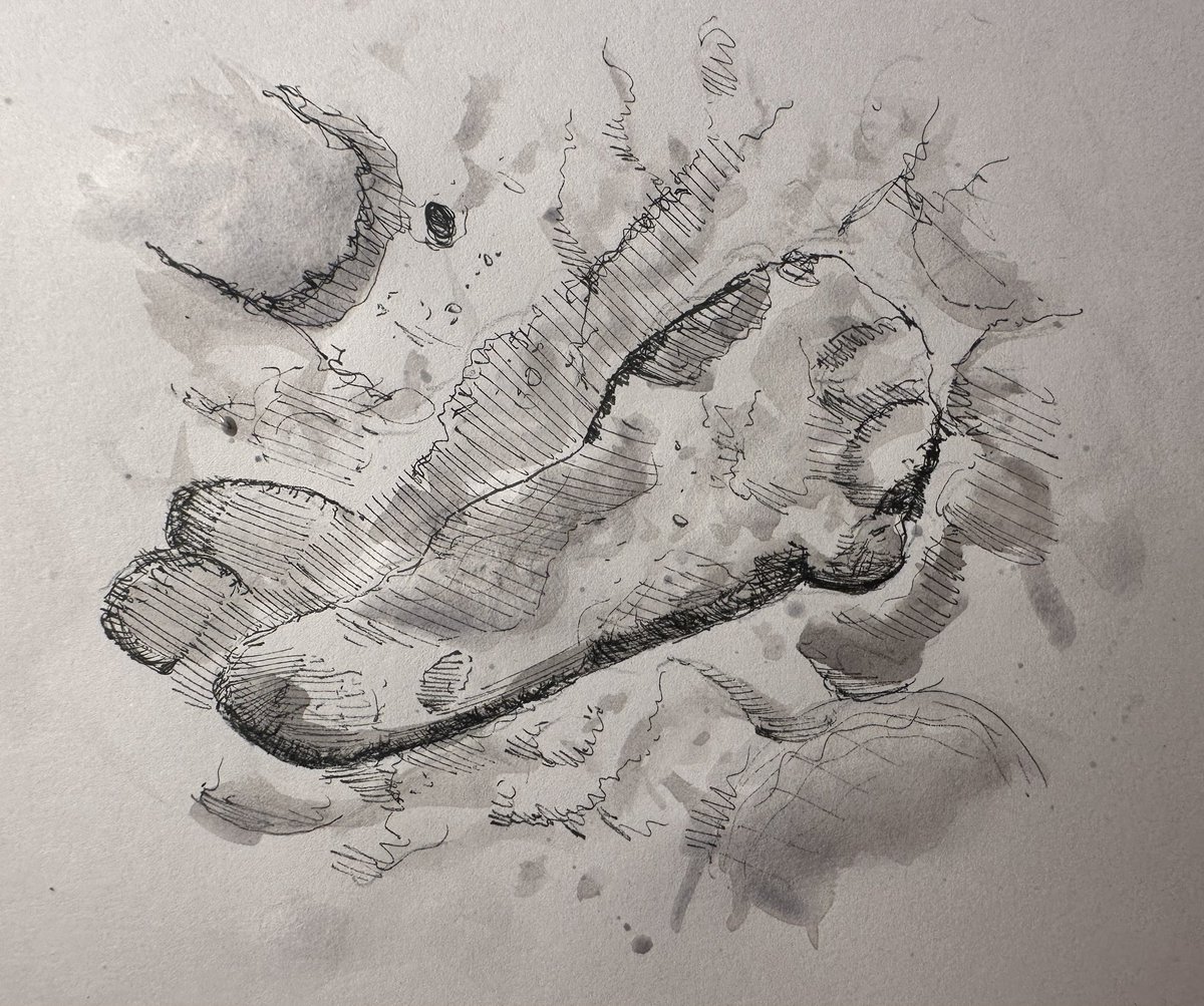 #inktober2023 11) Wander. The astonishing Happisburgh footprints . Made c900,000 years ago by a group of adults &amp; (wonderfully) children walking along mudflats on what is now Norfolk. These ephemeral traces of humans are the earliest footprints outside Africa. Mind blowing.