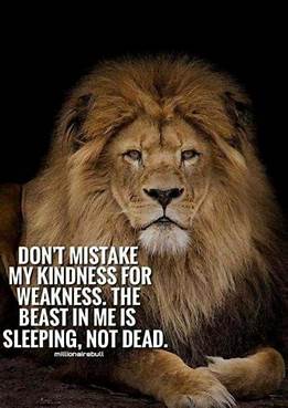 Loony4Life's tweet photo. #MyLifeInAQuote https://t.co/pXXKP3WDdE