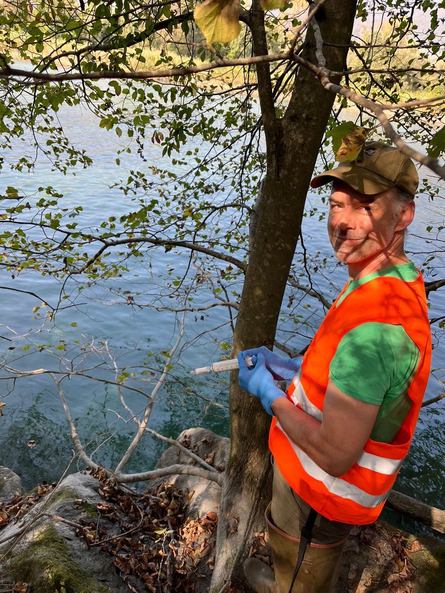 Red and I had a lot of #FUNACTION sampling in the upper Ticino catchment (above L. Maggiore). Sampling DNA to compare and understand #aquaticfungi #biodiversity in different habitats in- and outside of #protectedareas

Stay tuned for other activities and results! 
@BiodiversaPlus
