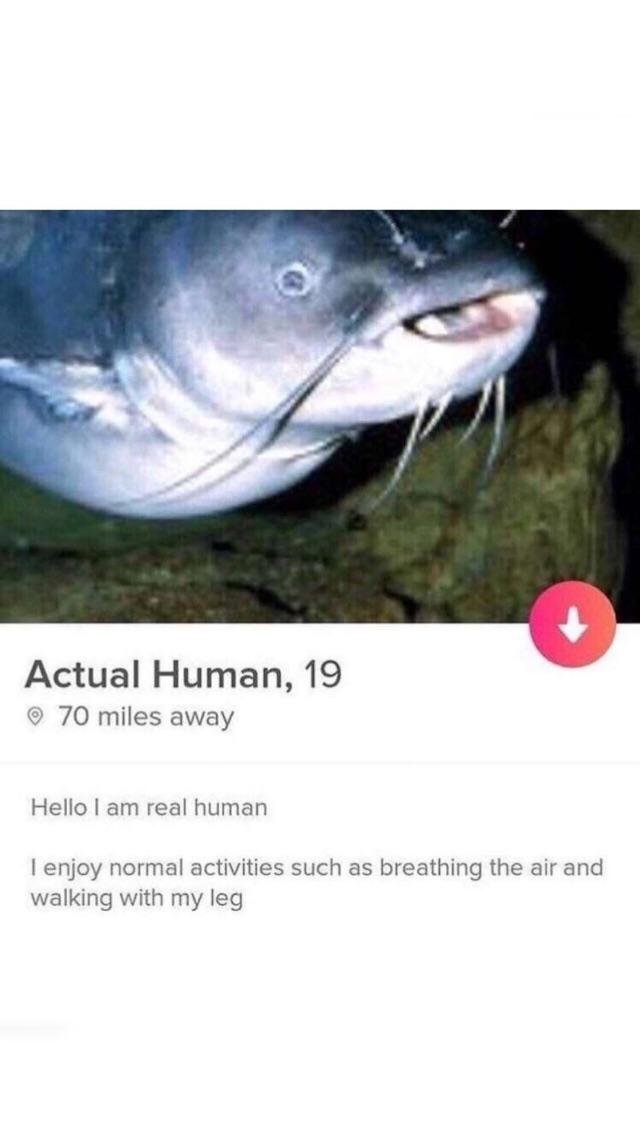 DateMemeDreams tweet media