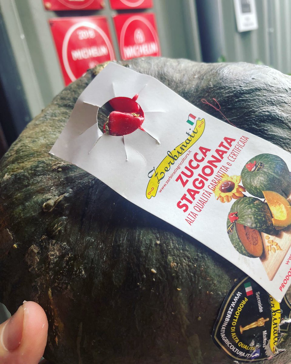 Tis the season.

This bad boy is being roasted with ras el hanout and served with wet polenta and pumpkin seed dressing.