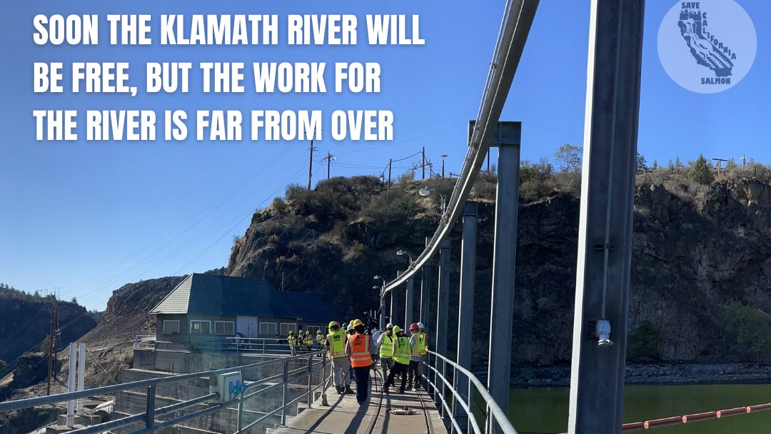 SaveCaliSalmon's tweet photo. On #IndigenousPeoplesDay week we were able to visit where Copco 2 was removed &amp; see work the on Iron Gate &amp; Copco 1 w/ families that fought to #UndamtheKlamath 3 more dams will be removed in 2024
This is a win for #NativeAmericans &amp; proof that taking action works #ClimateJustice https://t.co/mrLU7cDK3g