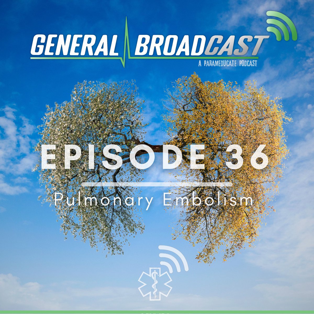 Our episode on Pulmonary Embolism is out now! This is one of the most commonly missed diagnoses in emergency medicine, so it's never a bad time to brush up on your knowledge! Let us know what you think with a RT and share our #FOAMed with others. #PE #MedEd #medicaleducation