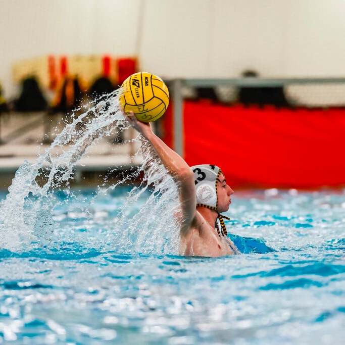 NATigers tweet media