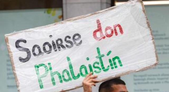 Cailleach Bhéarra tweet media